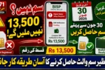 No BISP SIM, No Rs 13,500 Payment – Get Your SIM Before 30 June to Receive Rs 13,500